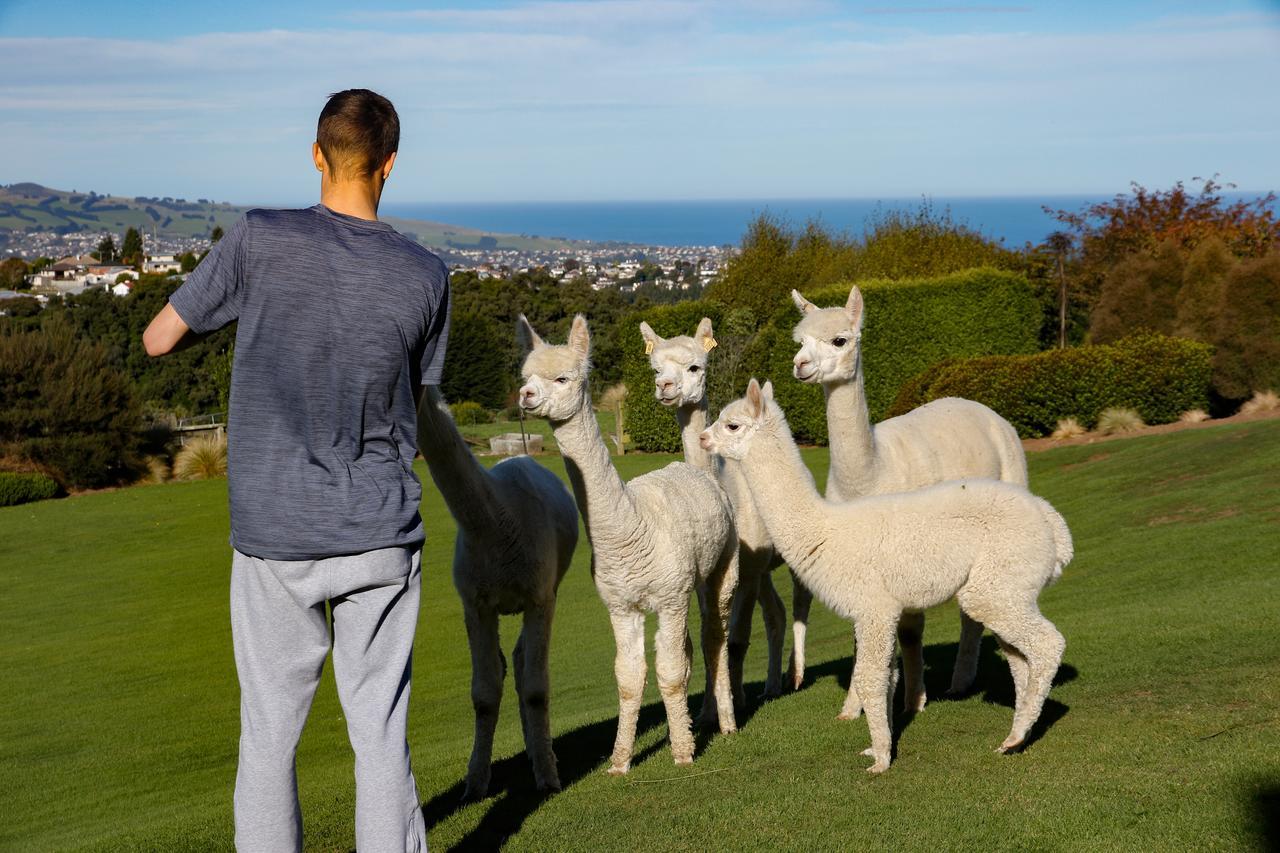 Alpaca Farmstay Dunedin Luaran gambar